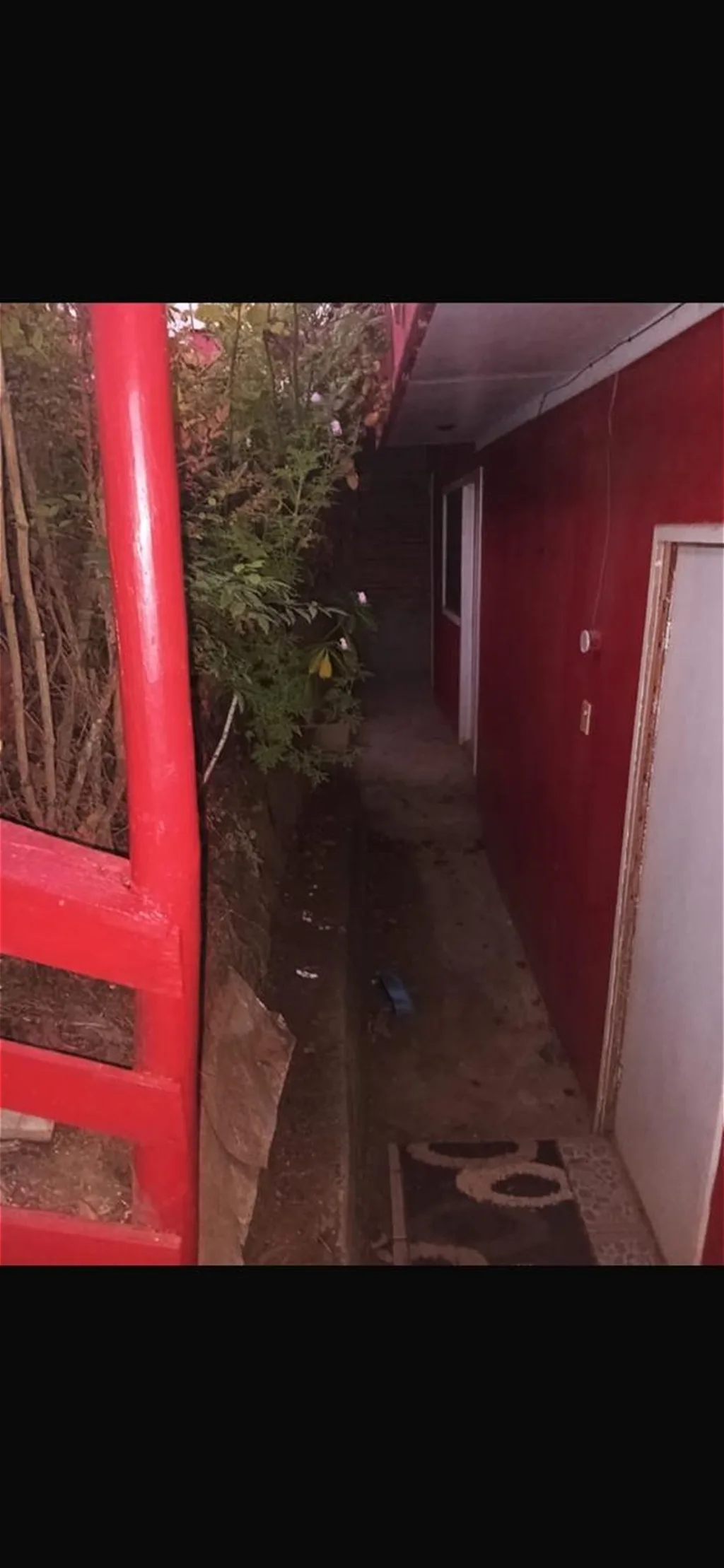 Exterior de la propiedad — entorno natural
